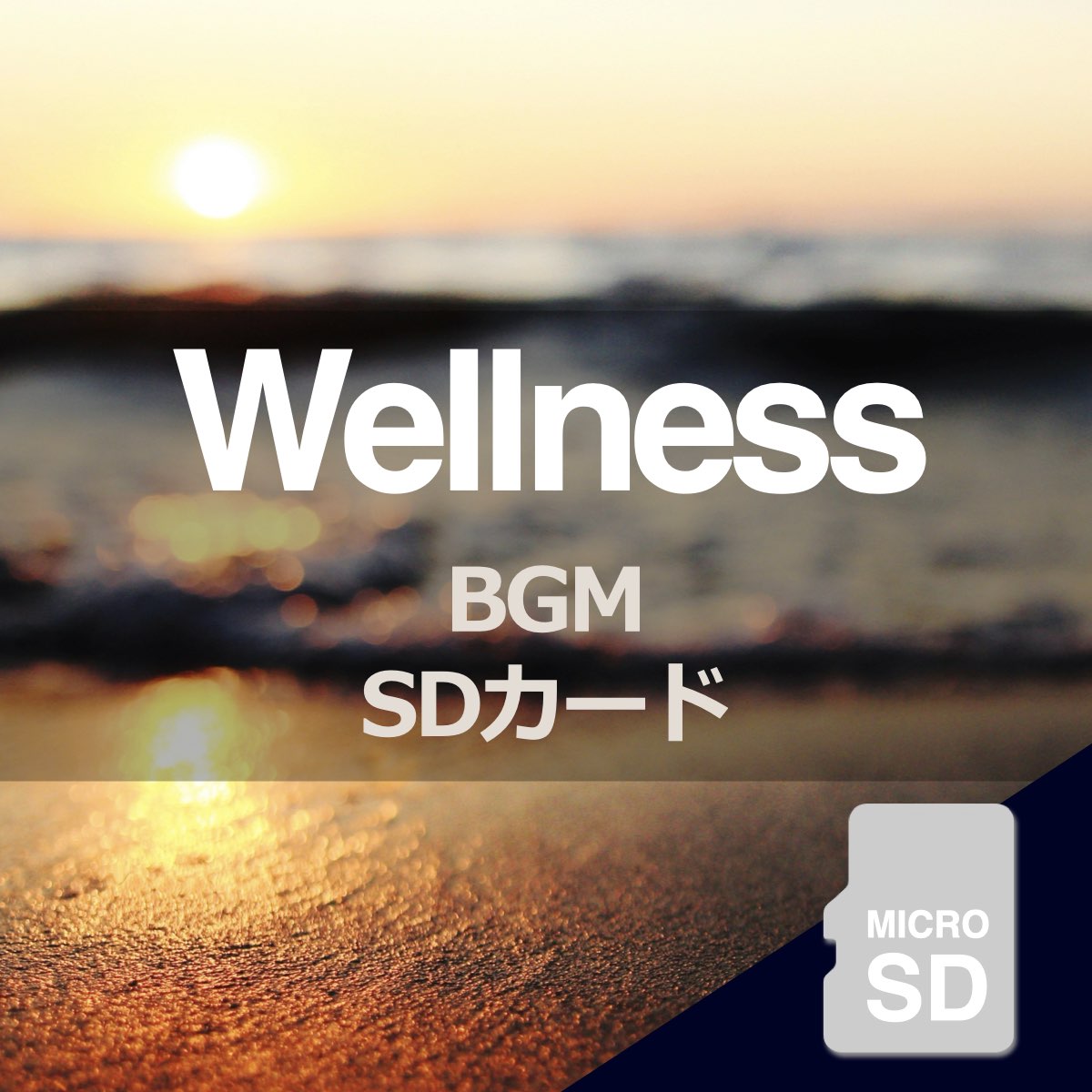 ウェルネス BGM 楽曲入りSDカード