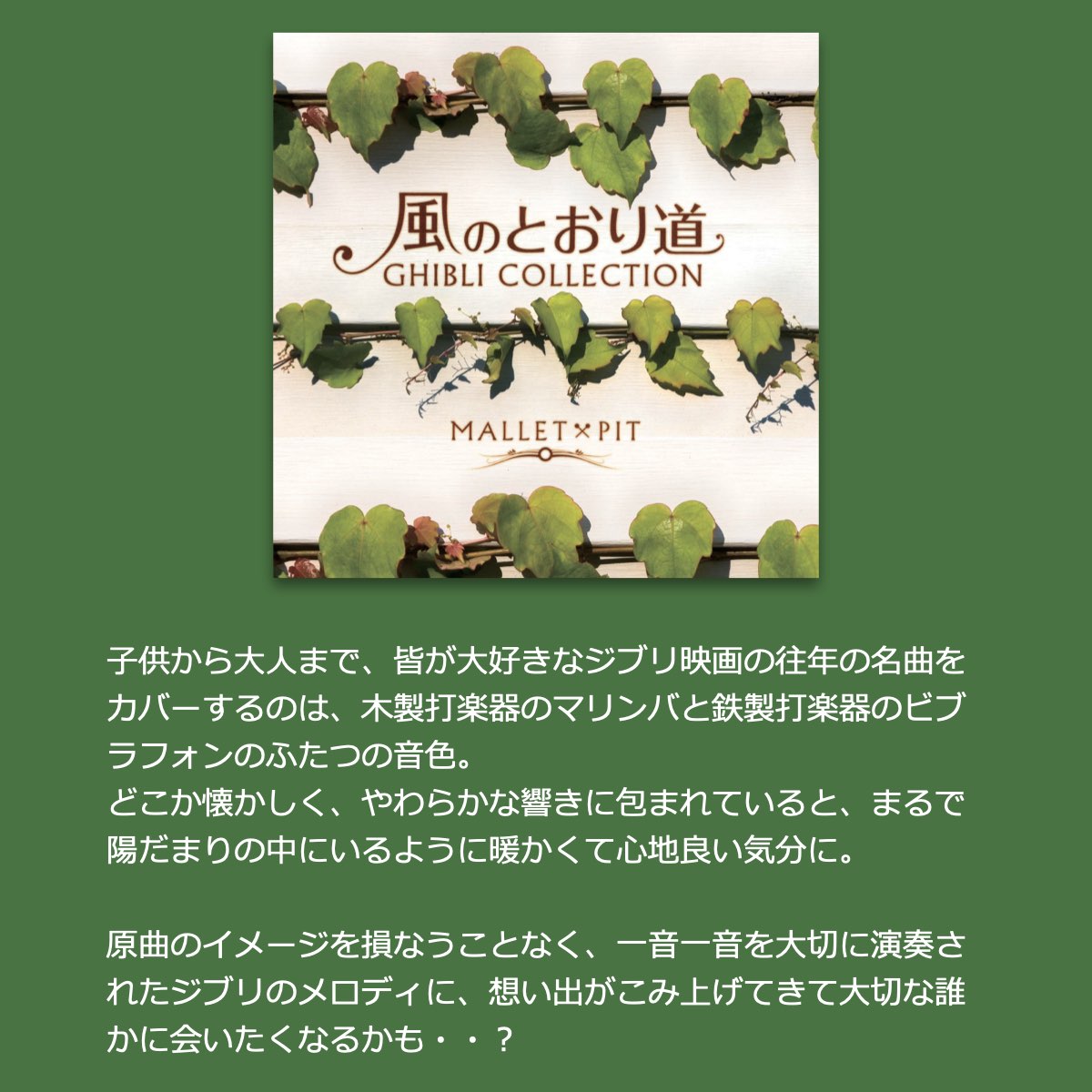 ジブリ BGM 楽曲入りSDカード