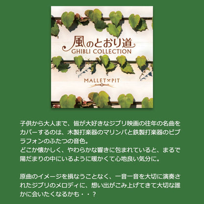 ジブリ BGM 楽曲入りSDカード